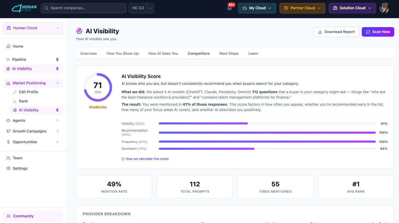 AI Visibility Score with breakdown across providers